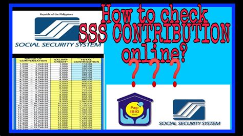 how check sss contribution online